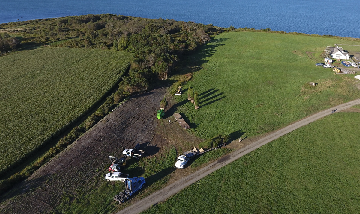 HF Johnson Tree Farm